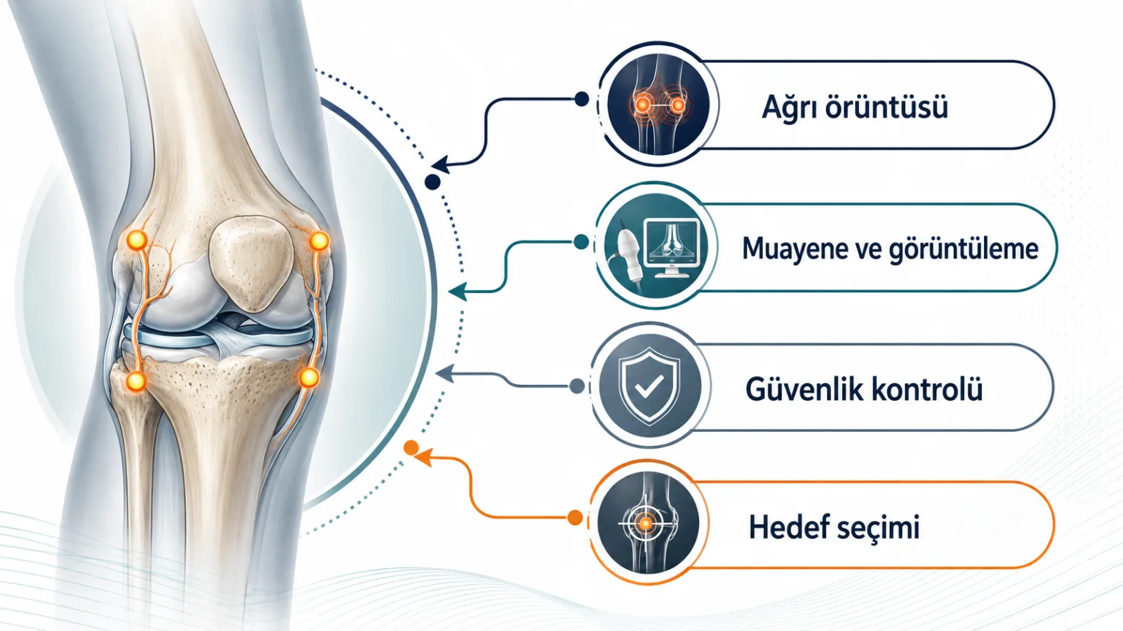 Diz ağrısında eklem içi, sinir kaynaklı ve acil değerlendirme gerektirebilecek örüntülerin klinik ayrımla ele alındığını gösteren şematik eğitim illüstrasyonu.