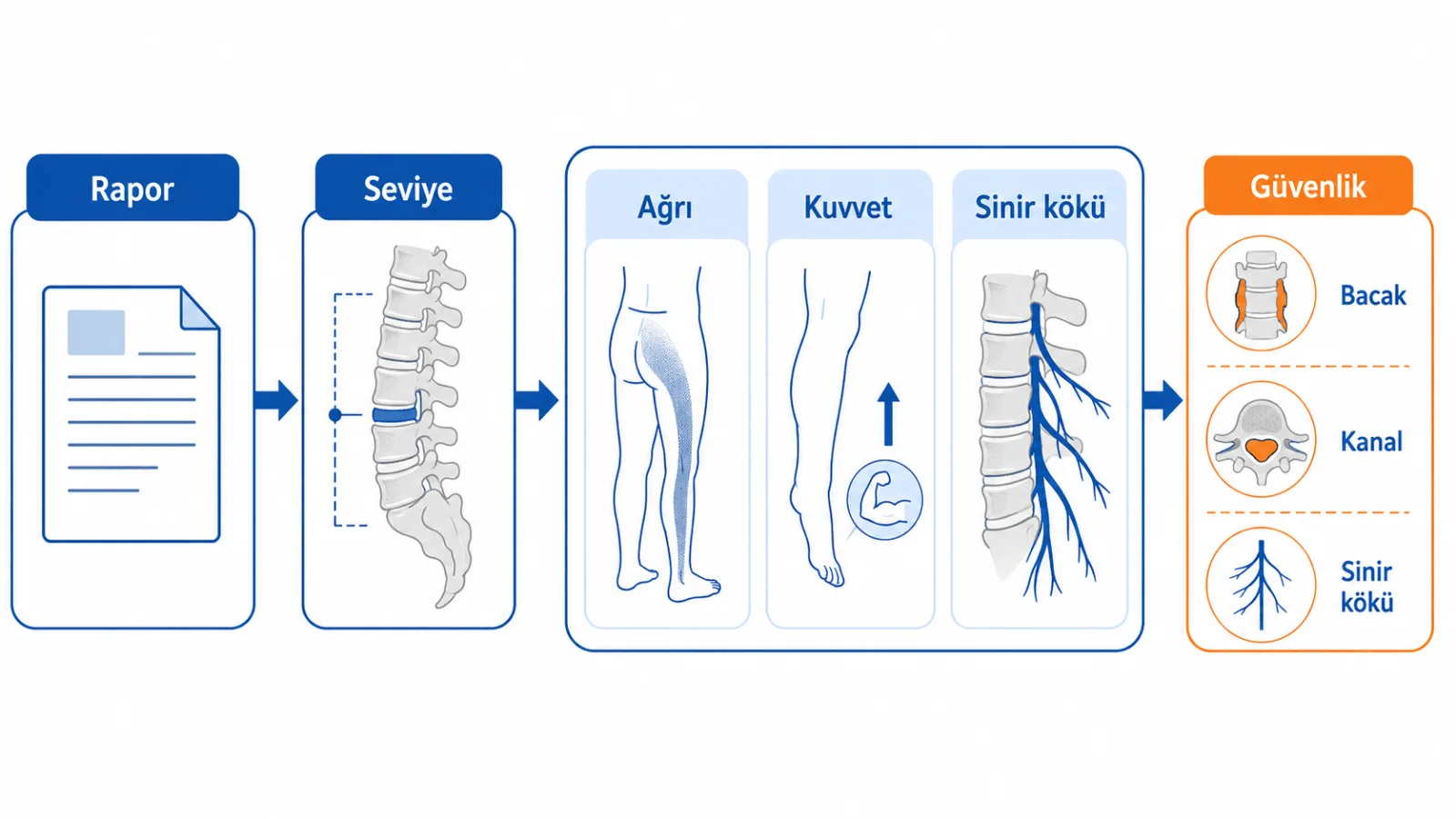 Disk protrüzyonu raporundaki seviye ve yerleşimin ağrı dağılımı, kuvvet, duyu ve alarm bulgularıyla birlikte değerlendirilmesini anlatan klinik karar akışı; gerçek görüntü değildir.