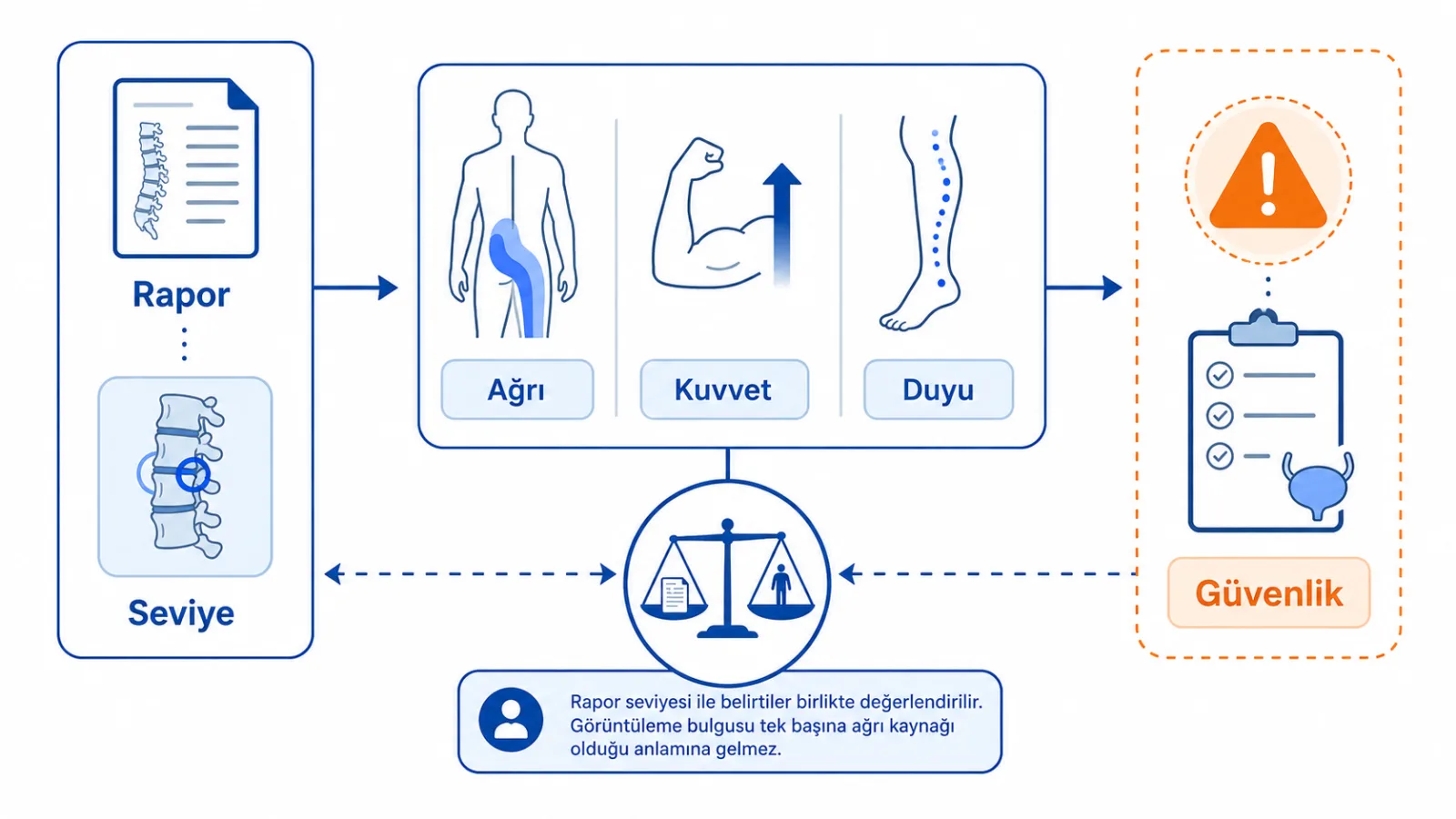 Rapor seviyesi ve sinir kökü bulgusunun ağrı dağılımı, kuvvet, duyu ve alarm bulgularıyla birlikte değerlendirilmesini anlatan klinik karar akışı; gerçek görüntü değildir.